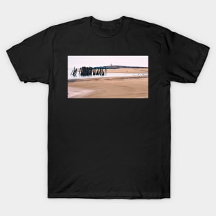 Pond Island Light T-Shirt